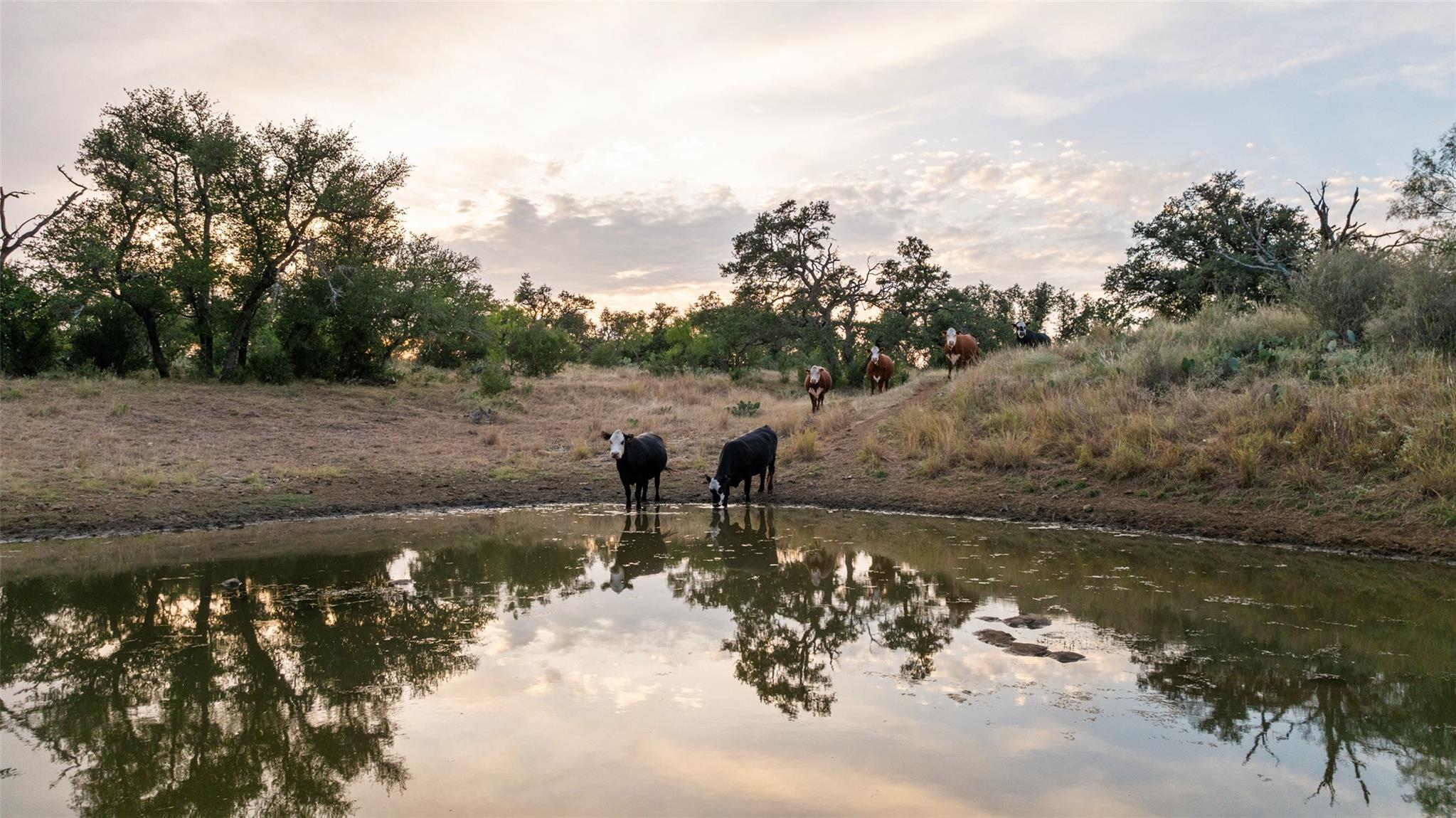 3503 Althaus-Davis Rd, Fredericksburg, TX 78624