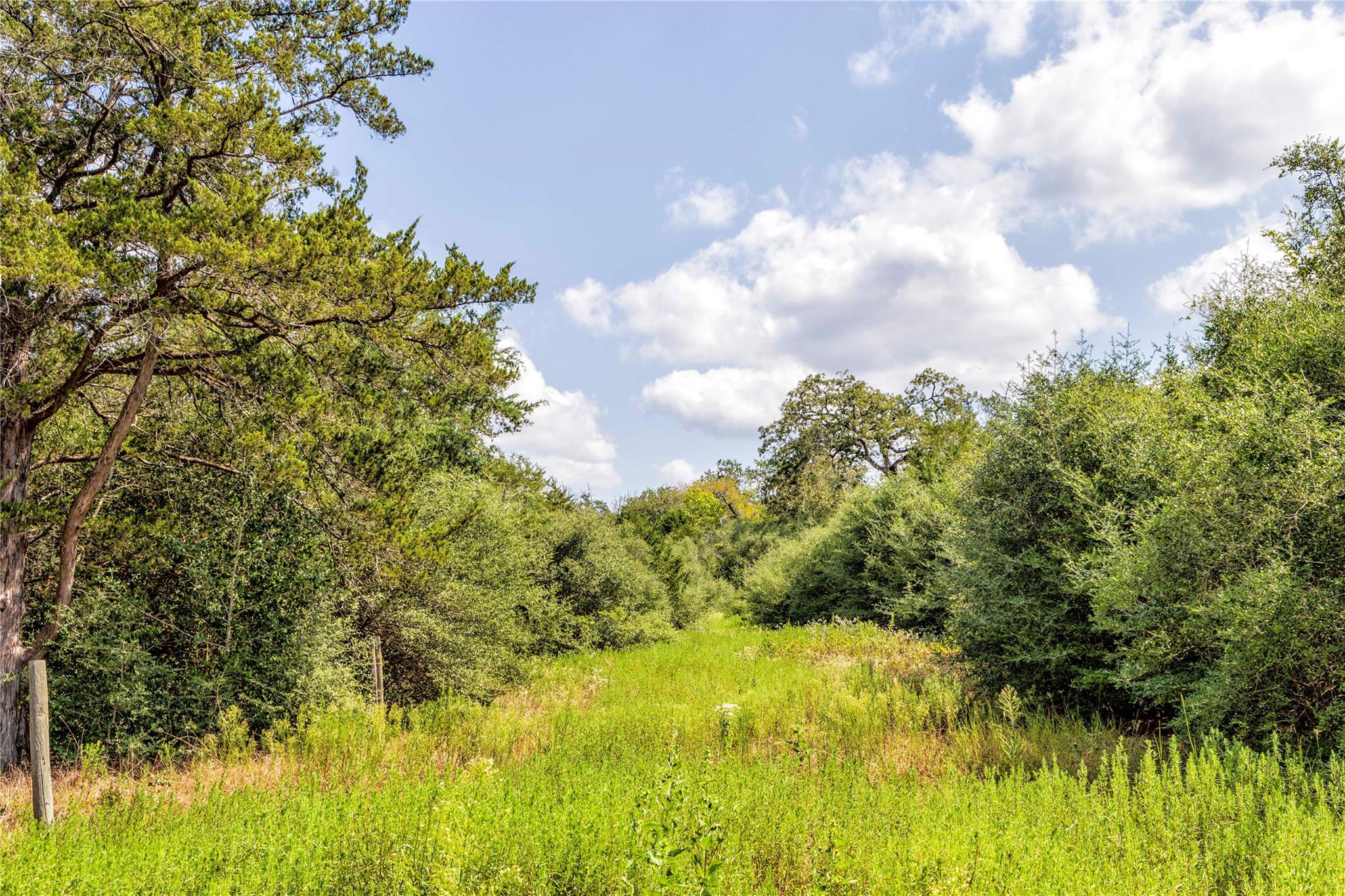 TBD FM 109, Columbus, TX 78934