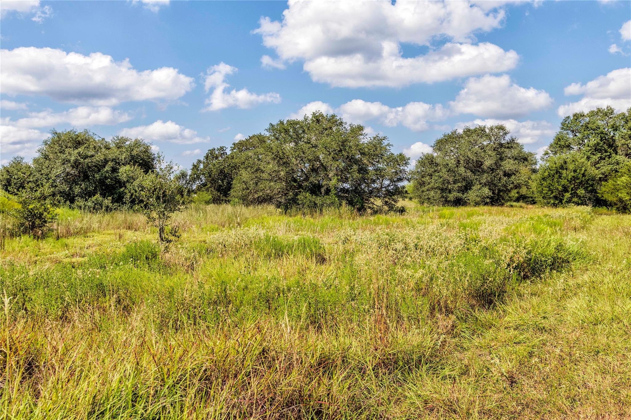 TBD FM 109, Columbus, TX 78934