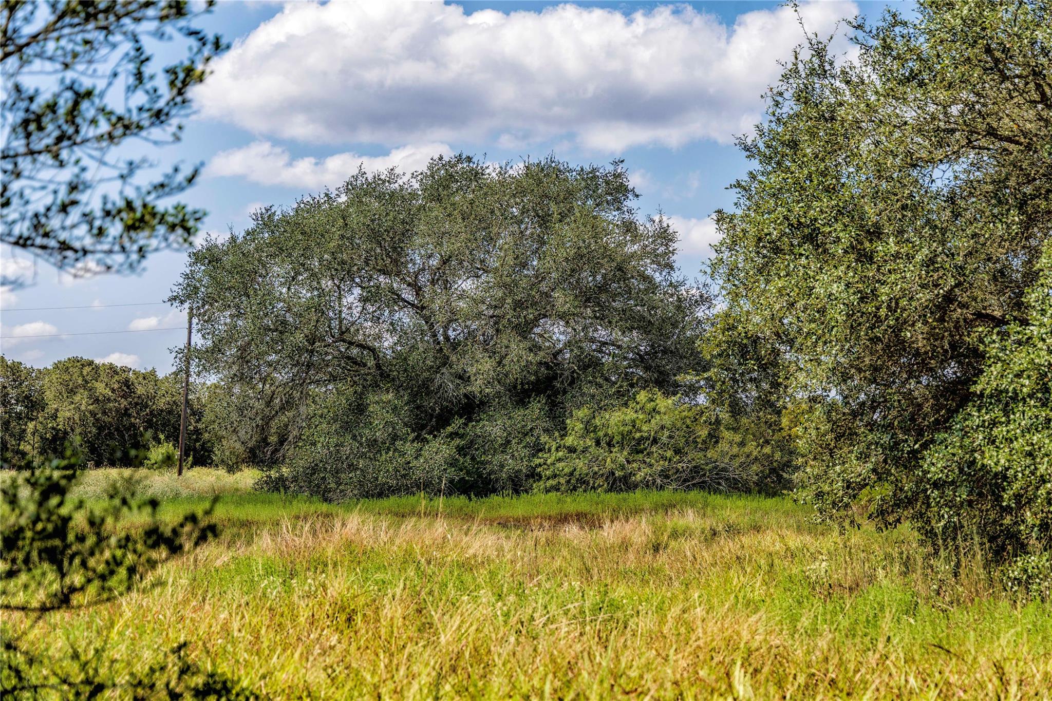 TBD FM 109, Columbus, TX 78934