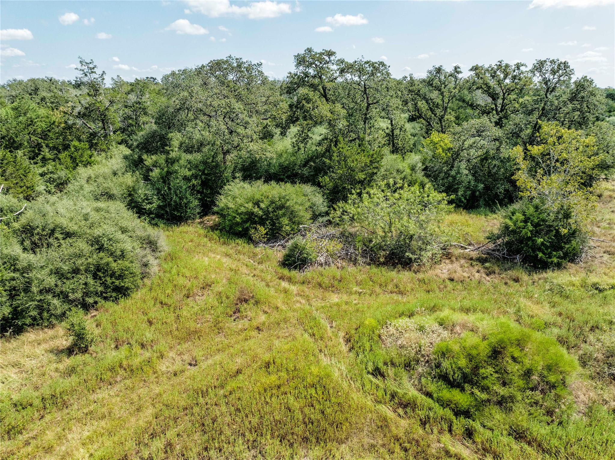 TBD FM 109, Columbus, TX 78934