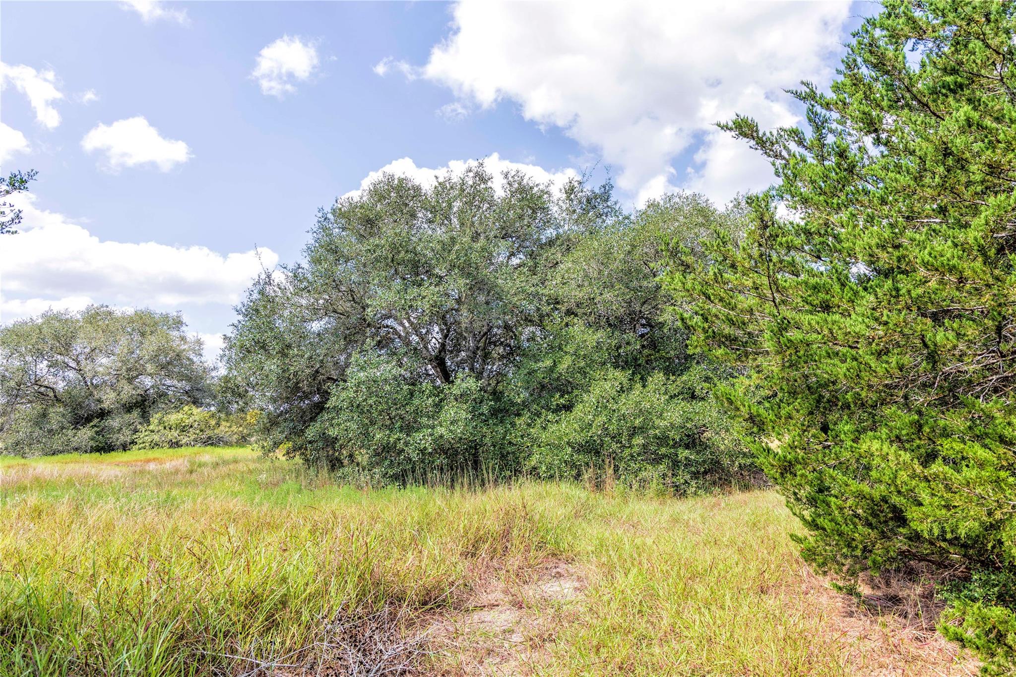 TBD FM 109, Columbus, TX 78934