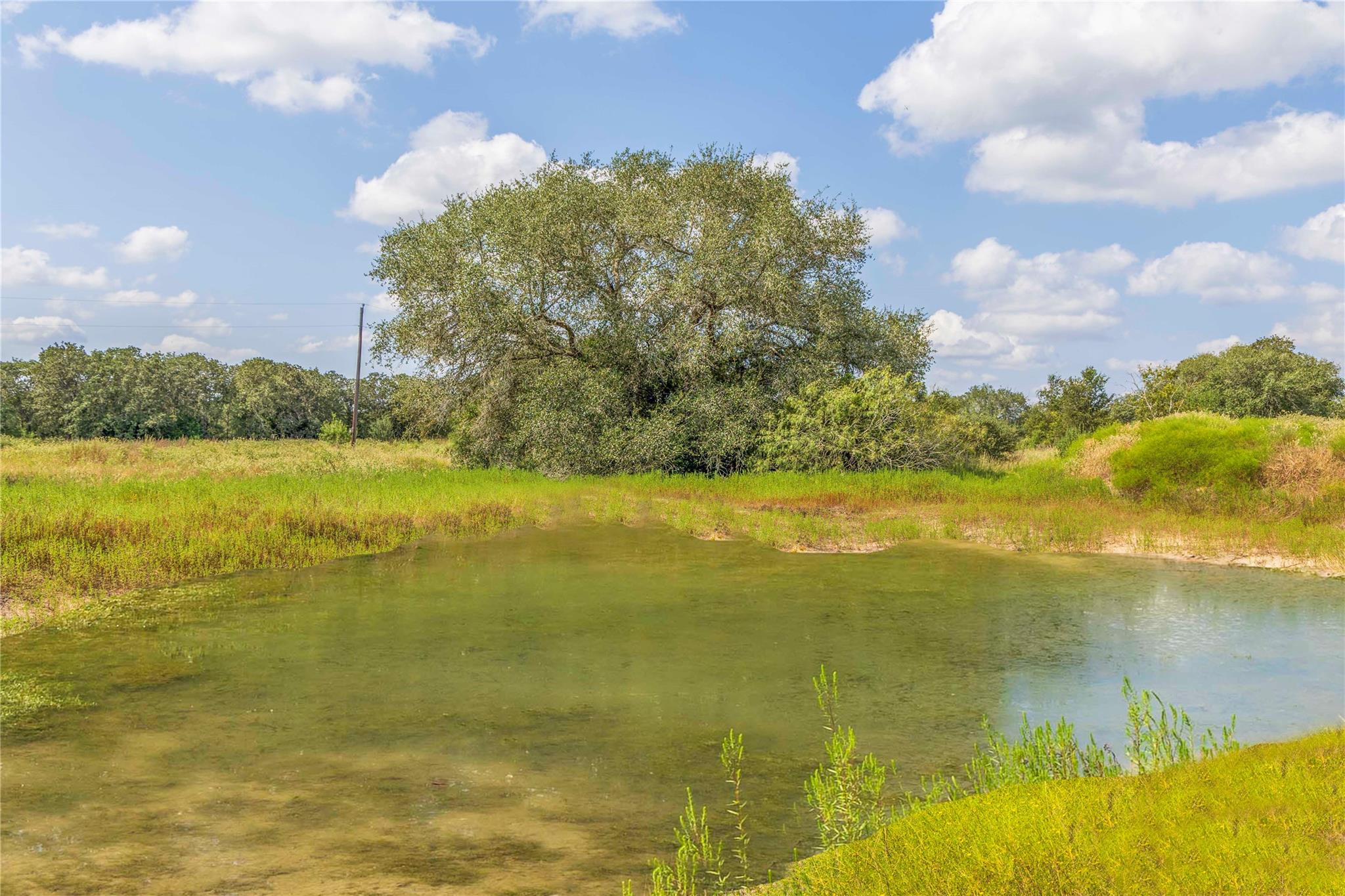 TBD FM 109, Columbus, TX 78934