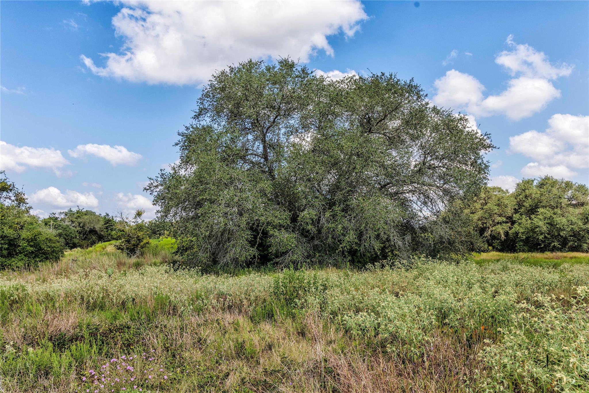 TBD FM 109, Columbus, TX 78934