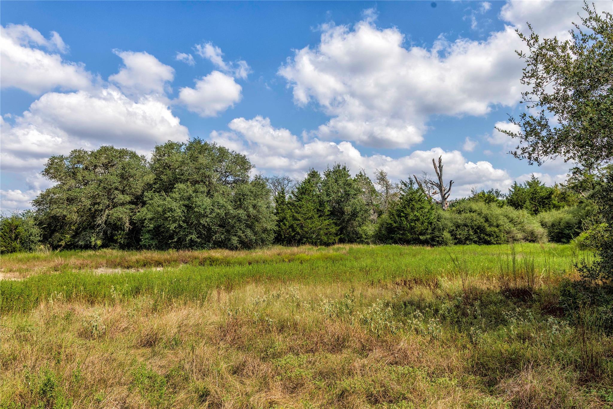 TBD FM 109, Columbus, TX 78934