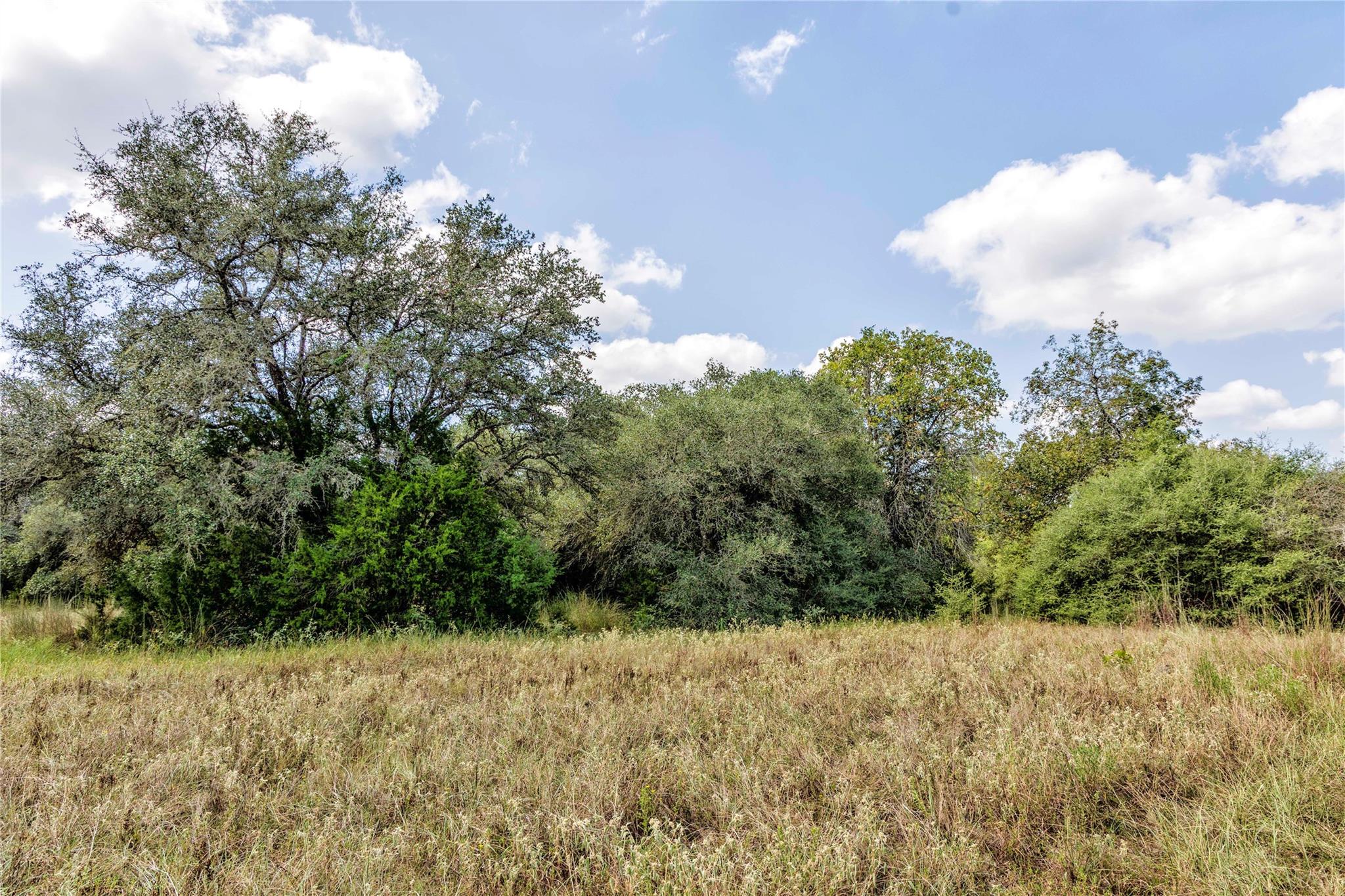 TBD FM 109, Columbus, TX 78934