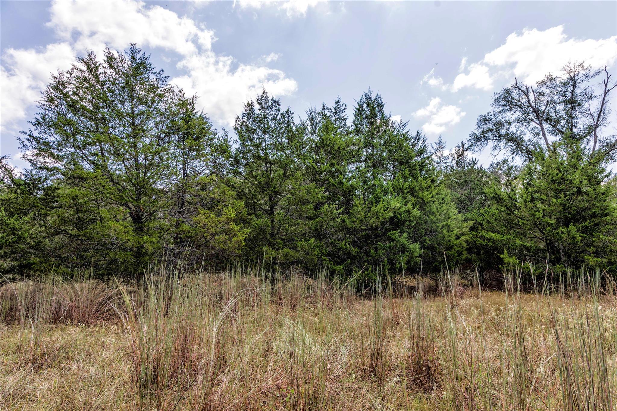 TBD FM 109, Columbus, TX 78934