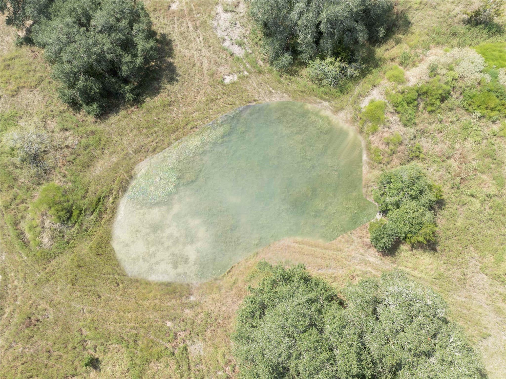 TBD FM 109, Columbus, TX 78934