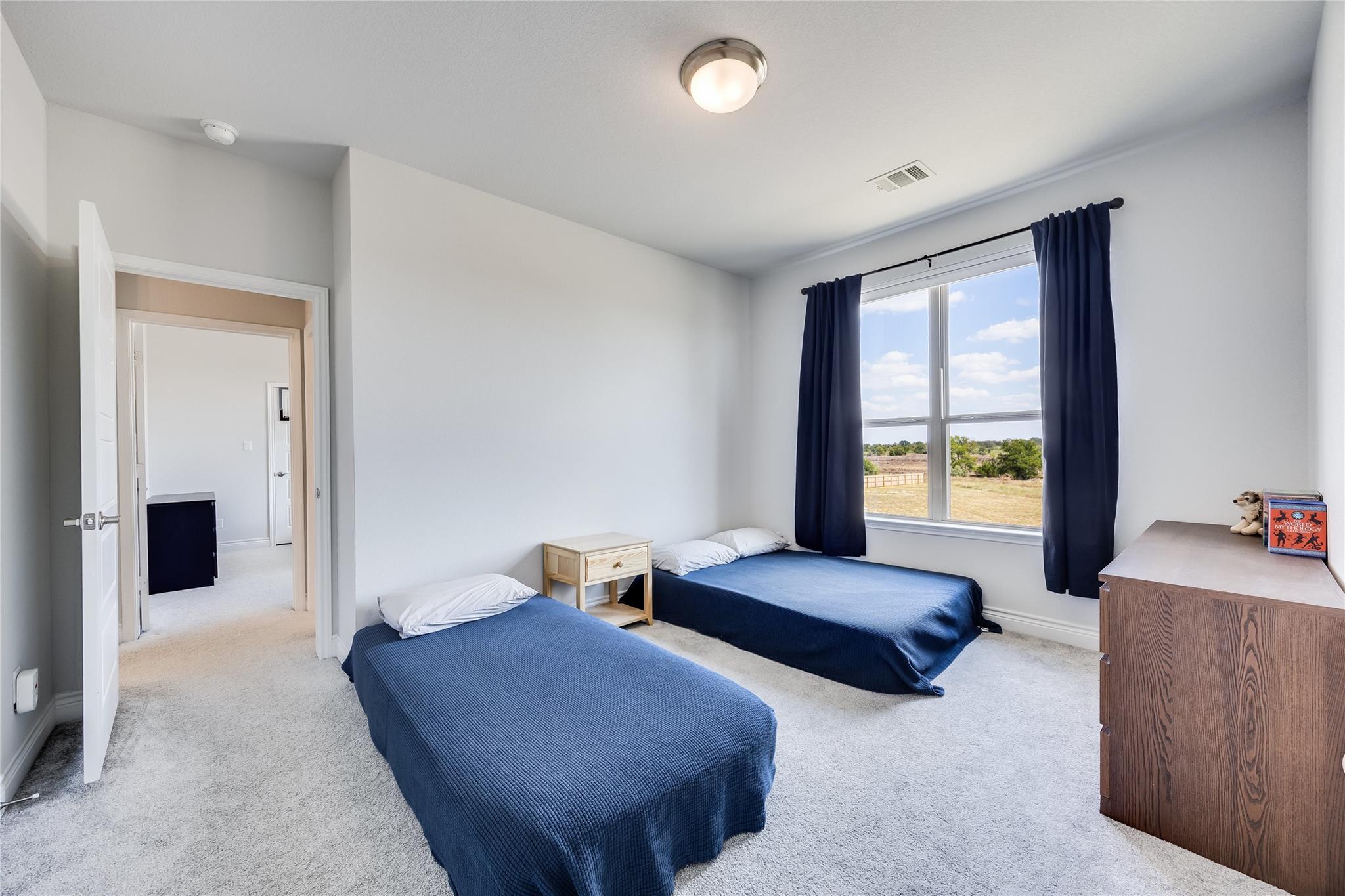 501 Sierra Lisa Cv, Liberty Hill, TX 78642