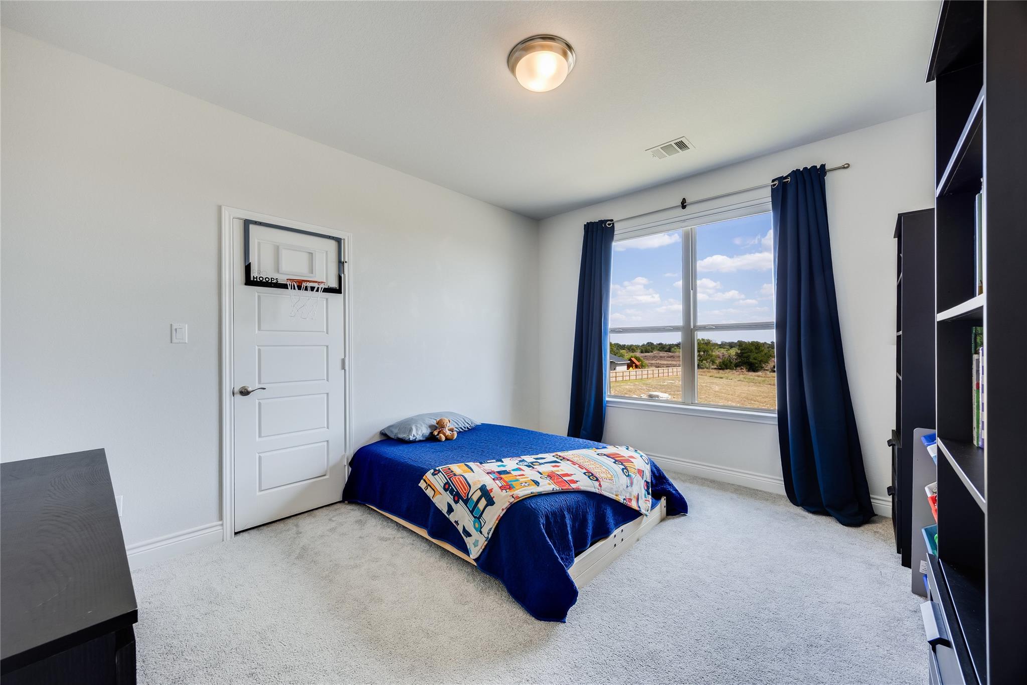 501 Sierra Lisa Cv, Liberty Hill, TX 78642