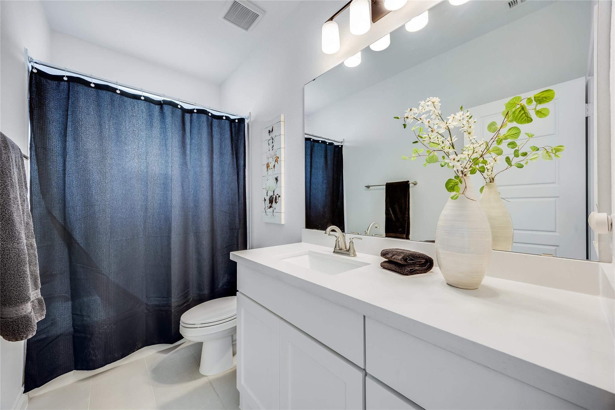 501 Sierra Lisa Cv, Liberty Hill, TX 78642