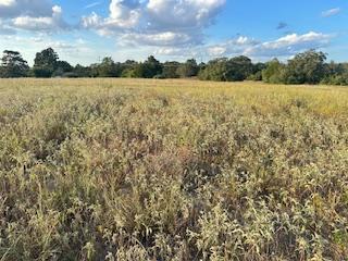 555 #C Paint Creek Rd, McDade, TX 78650