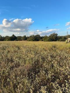 555 #C Paint Creek Rd, McDade, TX 78650