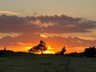 555 #C Paint Creek Rd, McDade, TX 78650