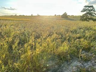 555 #C Paint Creek Rd, McDade, TX 78650