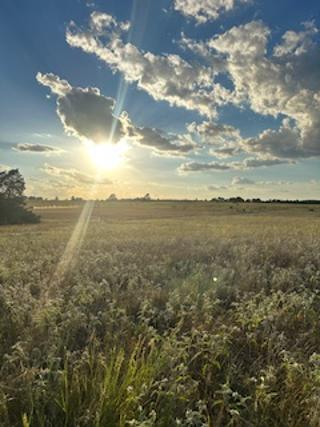 555 #C Paint Creek Rd, McDade, TX 78650