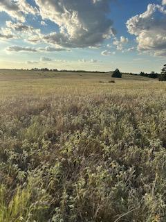 555 #C Paint Creek Rd, McDade, TX 78650