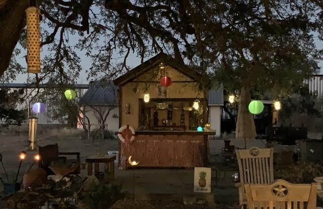 190 Carol Ann Dr, Austin, TX 78737