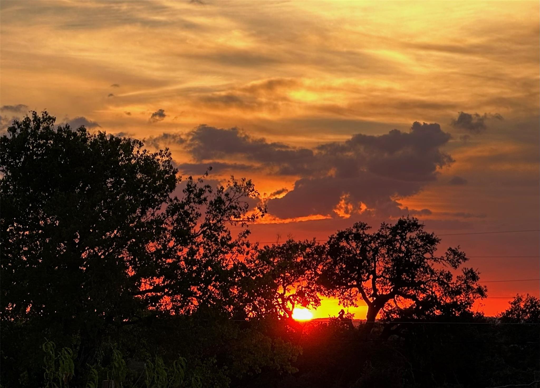 190 Carol Ann Dr, Austin, TX 78737