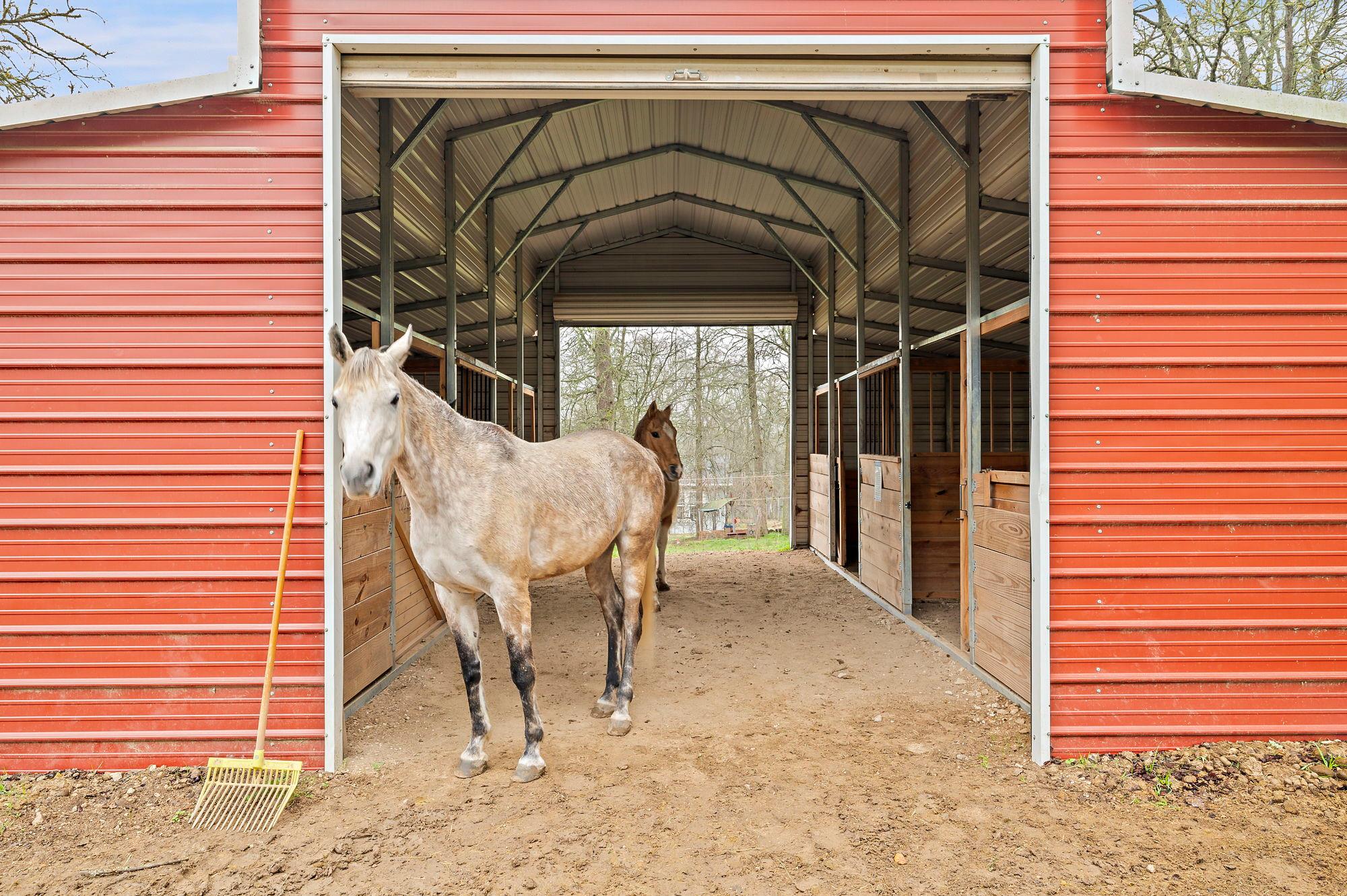 175 Fawn Ridge Rd, Cedar Creek, TX 78612