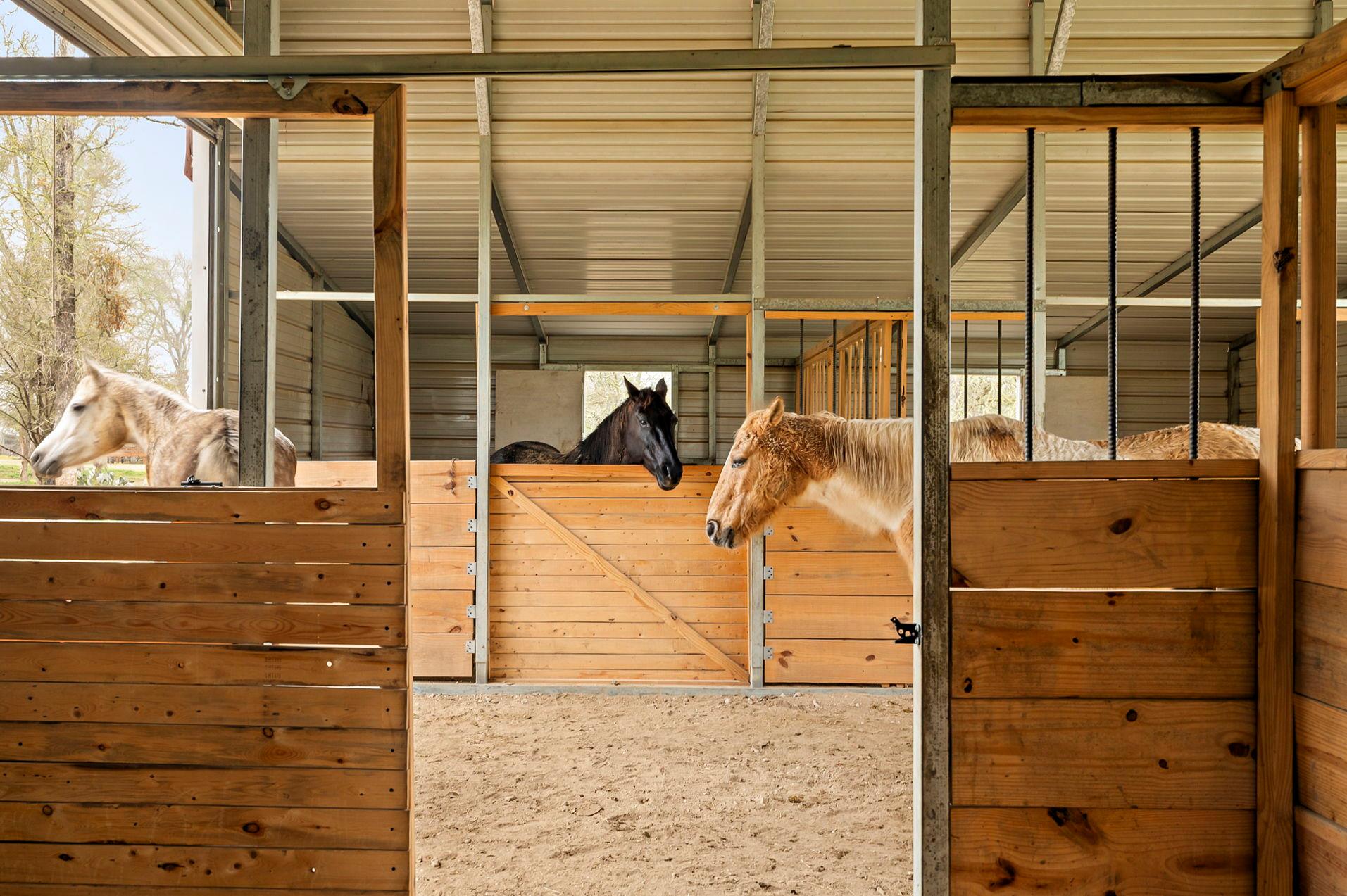 175 Fawn Ridge Rd, Cedar Creek, TX 78612