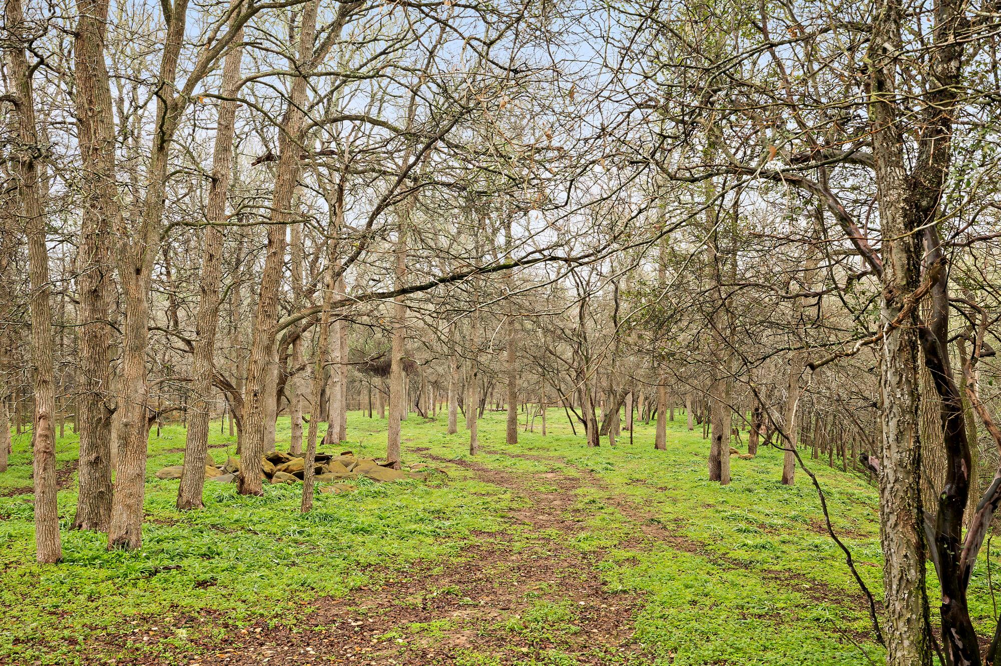 175 Fawn Ridge Rd, Cedar Creek, TX 78612