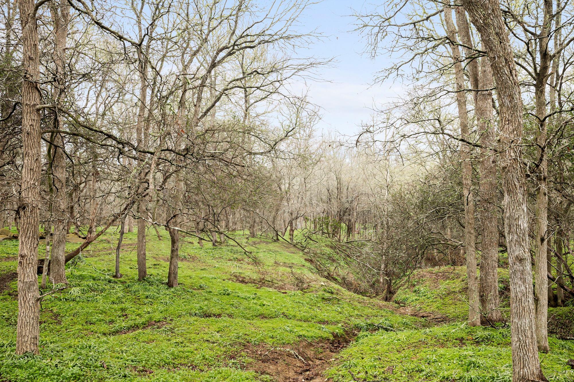 175 Fawn Ridge Rd, Cedar Creek, TX 78612