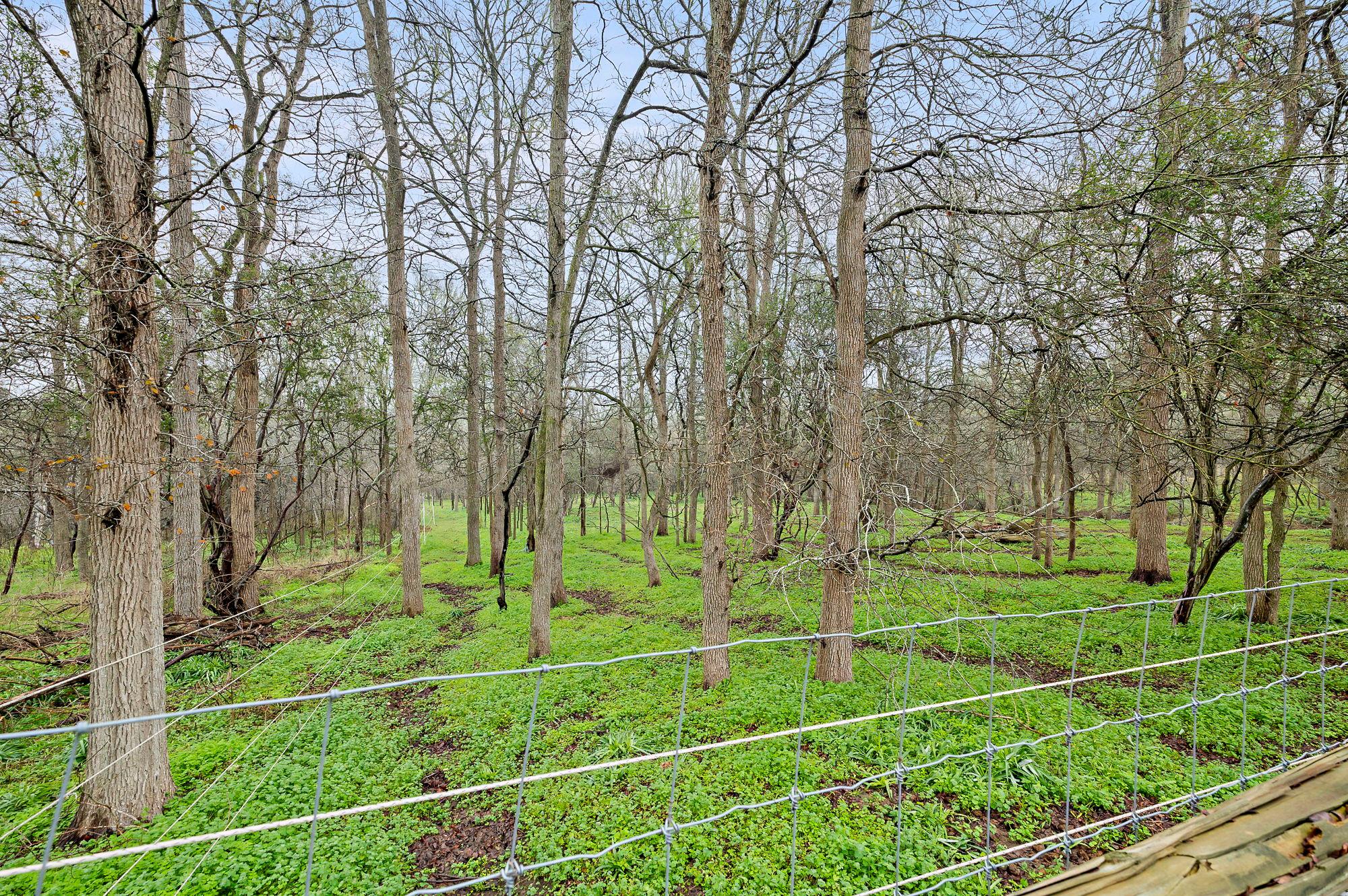 175 Fawn Ridge Rd, Cedar Creek, TX 78612