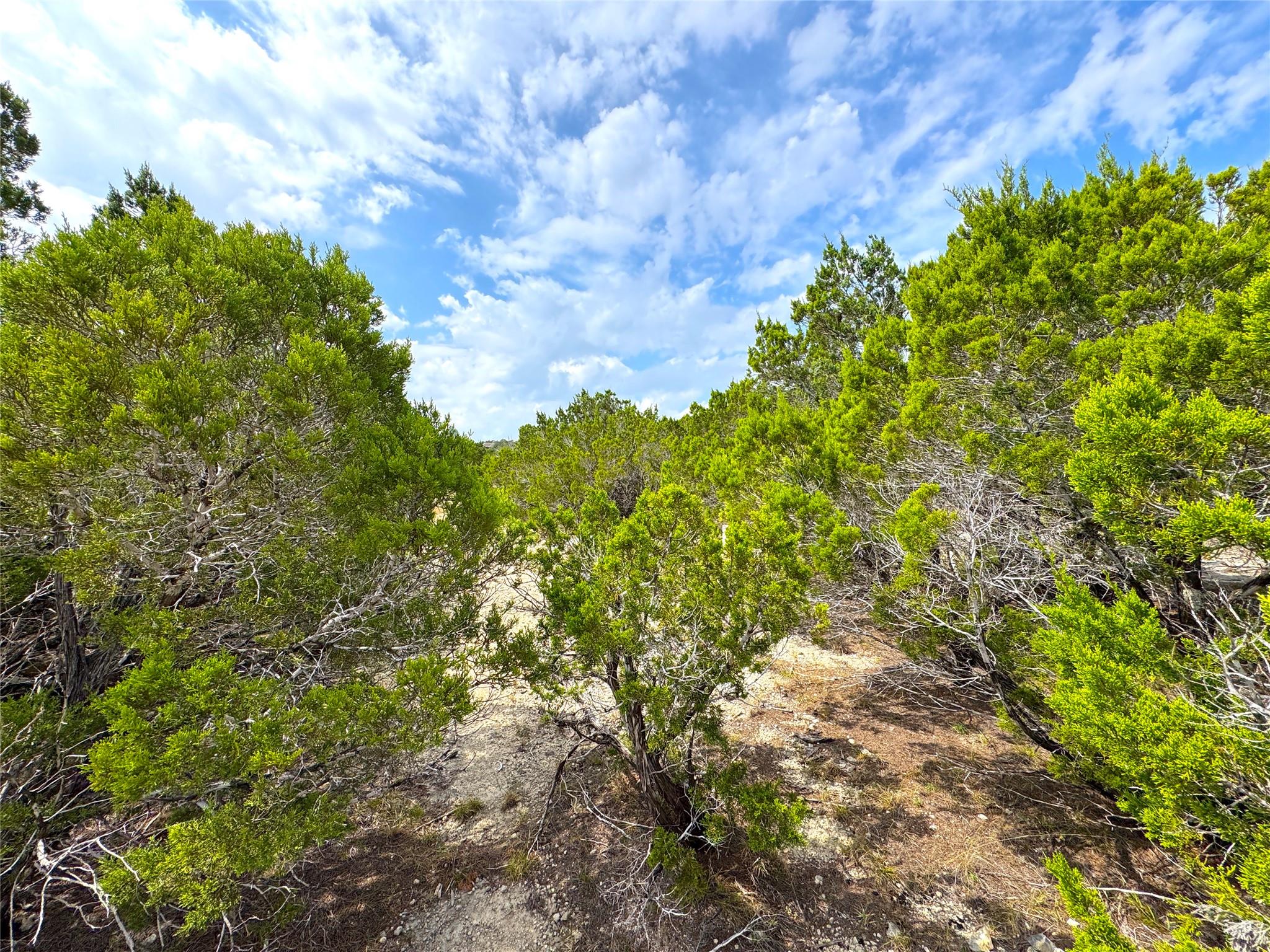 2085 Fm 484, Canyon Lake, TX 78133