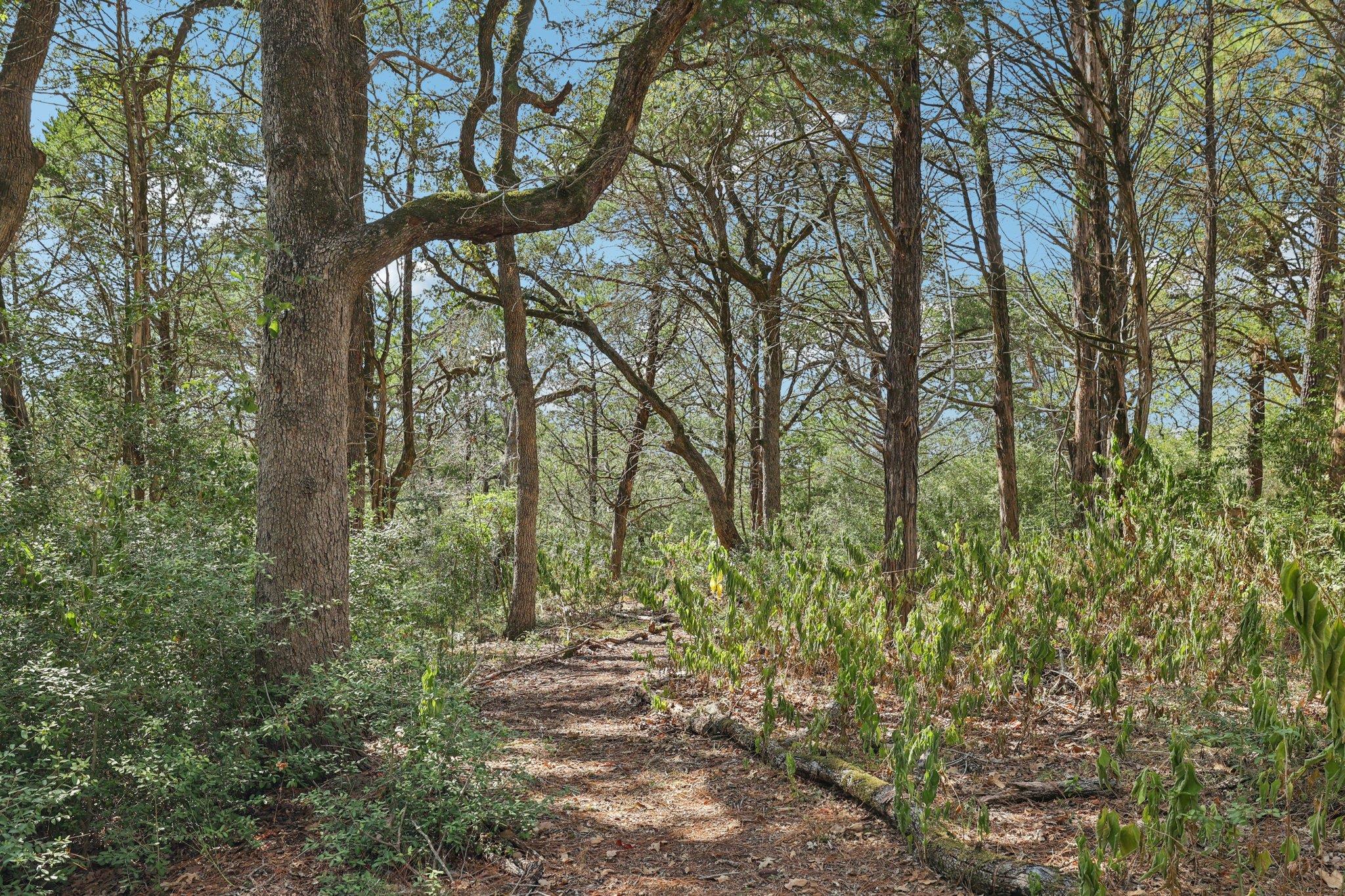 128 Copeland Hill Rd, Smithville, TX 78957