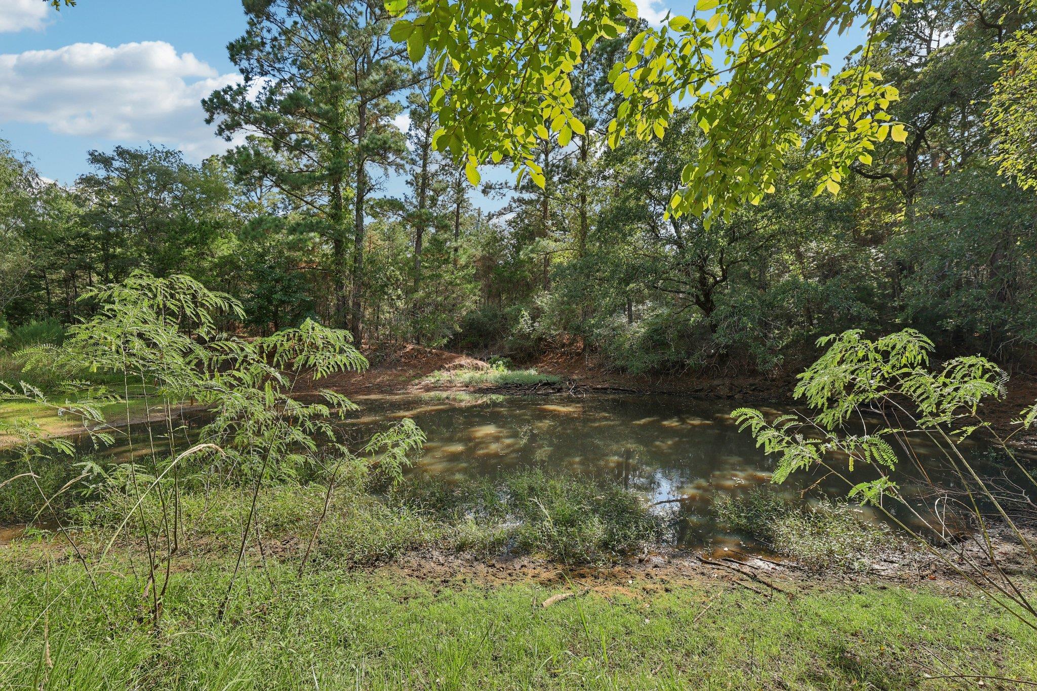 128 Copeland Hill Rd, Smithville, TX 78957