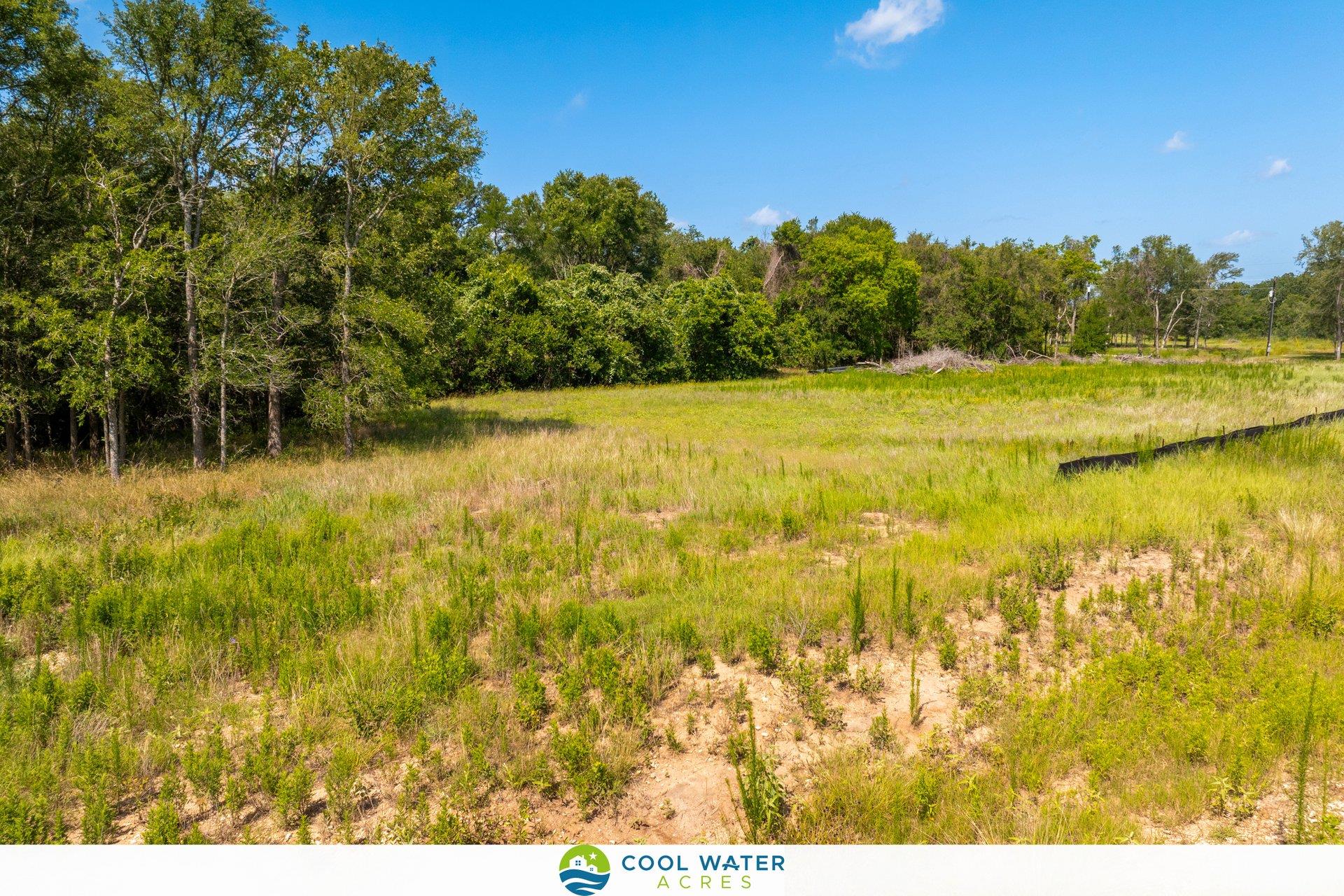 475 Ferguson Loop, Dale, TX 78616