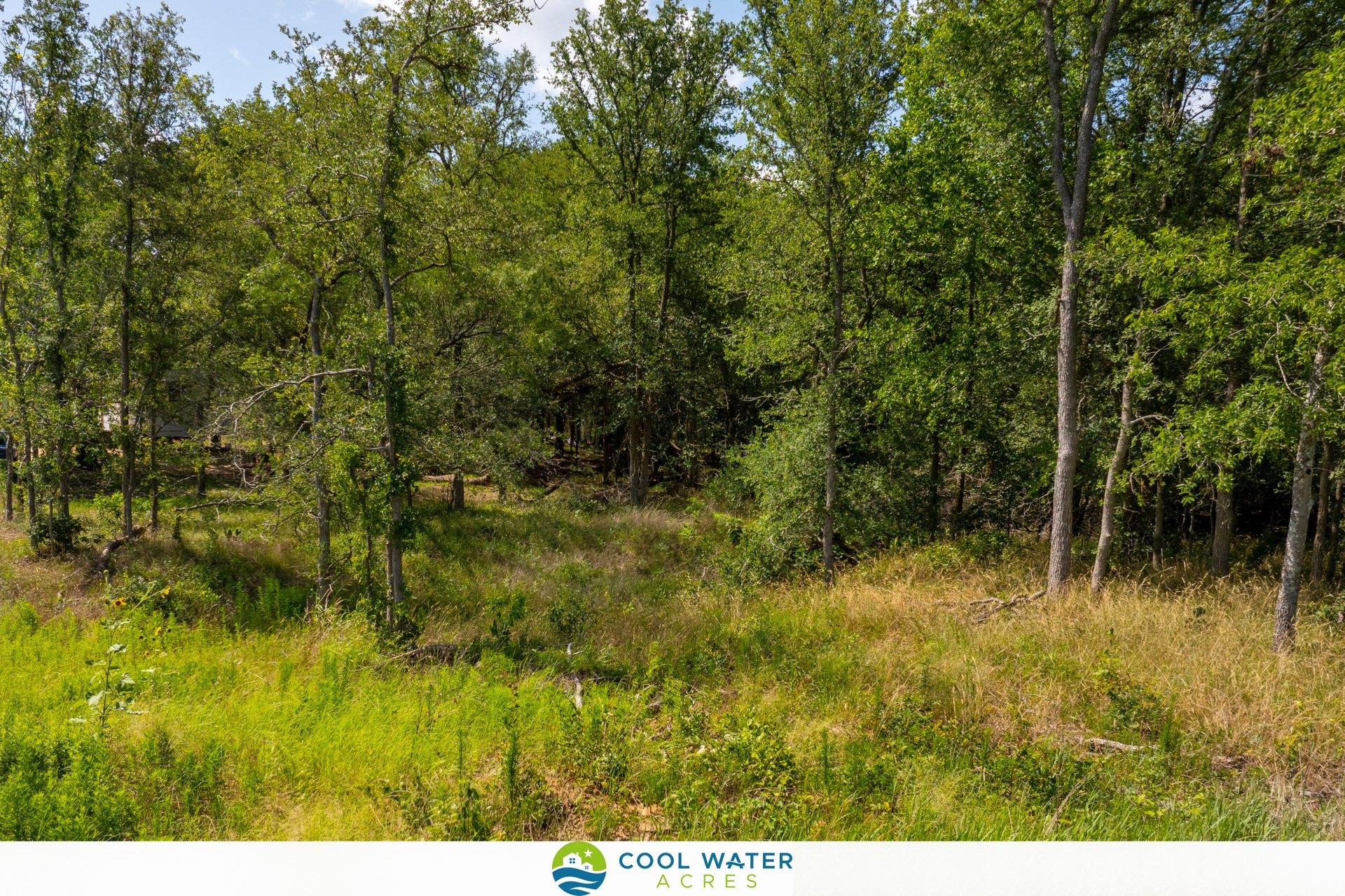 475 Ferguson Loop, Dale, TX 78616