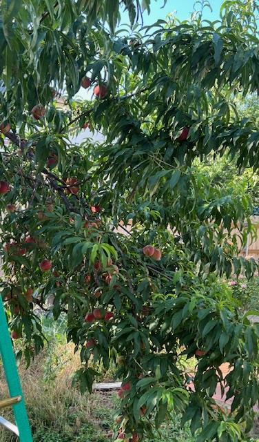 20638 Highland Lake Dr, Lago Vista, TX 78645