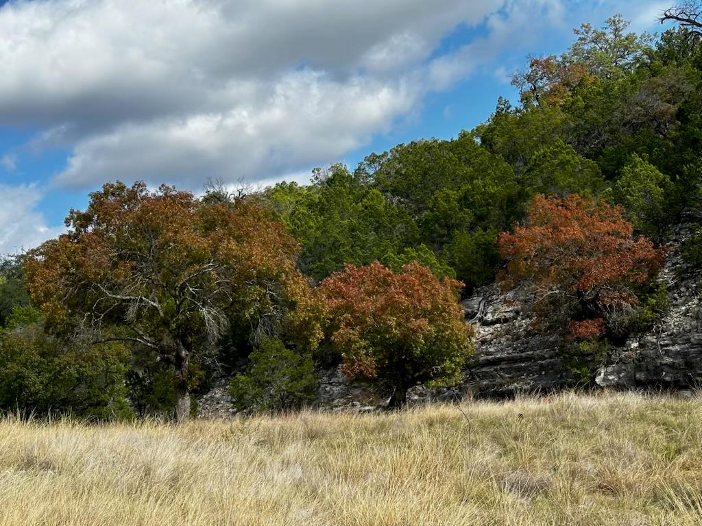 Lot 85, Seven Springs R. Spring Xing, Junction, TX 76849