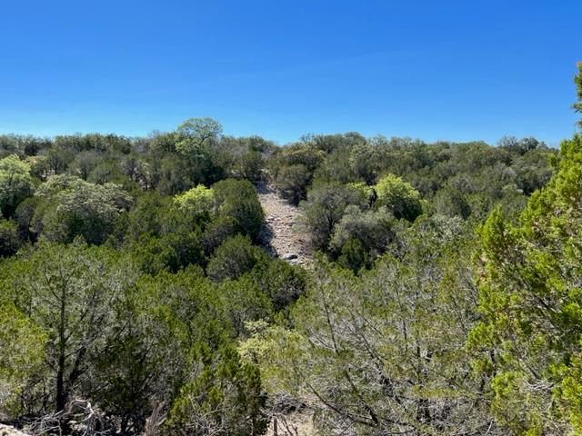Lot 85, Seven Springs R. Spring Xing, Junction, TX 76849