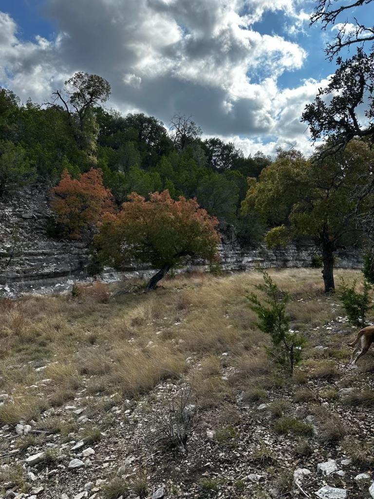 Lot 85, Seven Springs R. Spring Xing, Junction, TX 76849