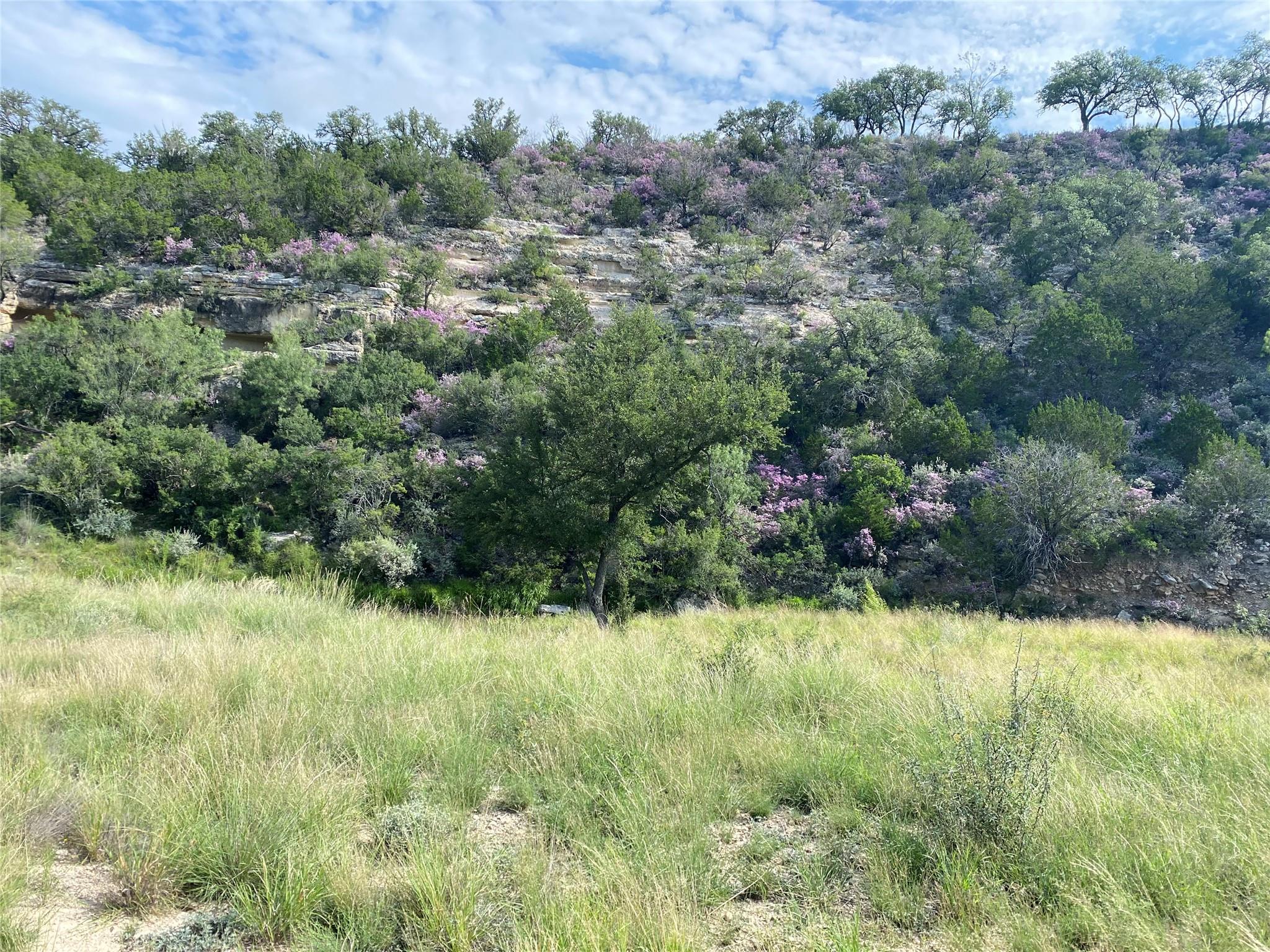Lot 85, Seven Springs R. Spring Xing, Junction, TX 76849