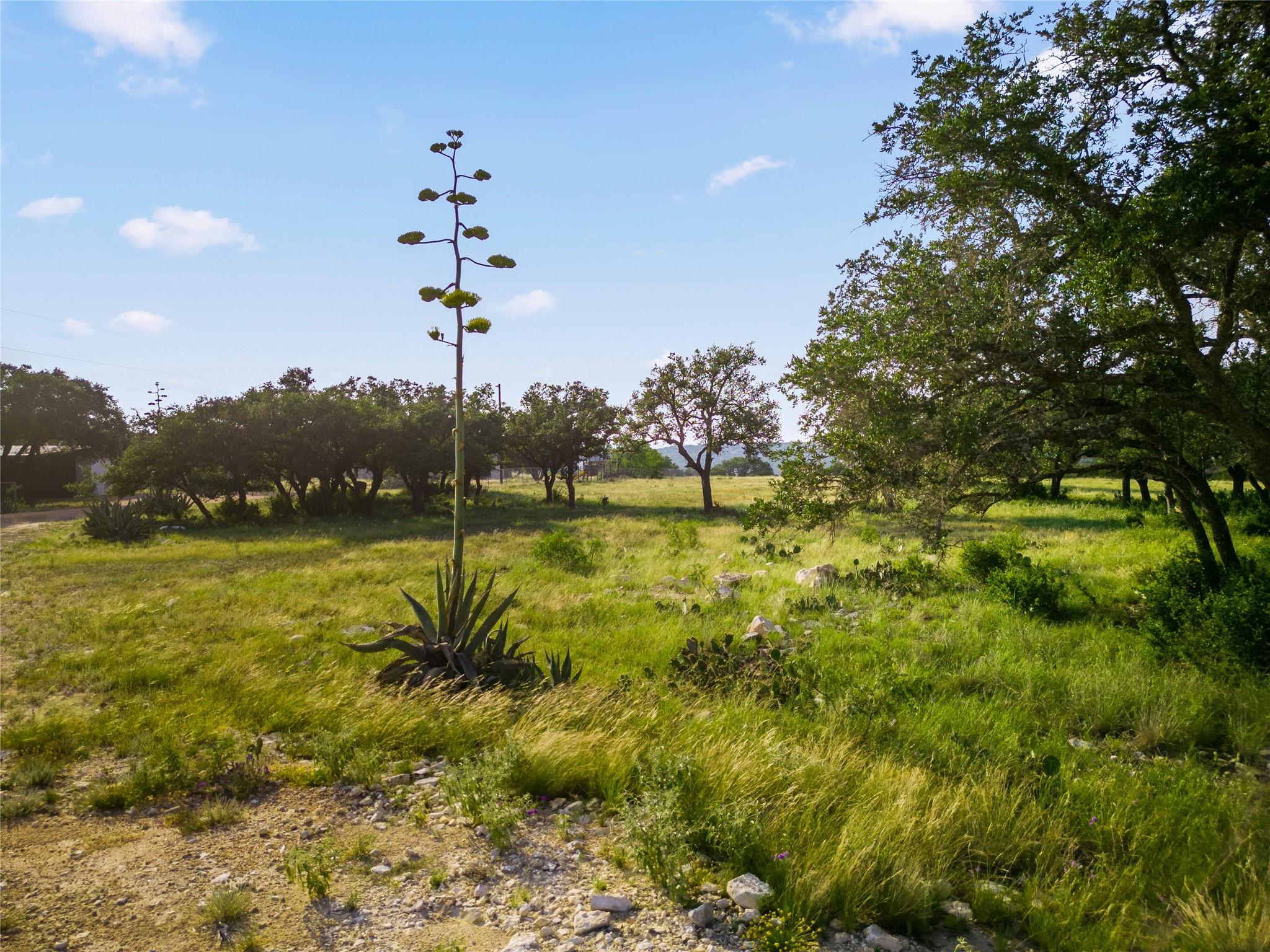 1428 Seven Springs Drive Dr, Junction, TX 76849