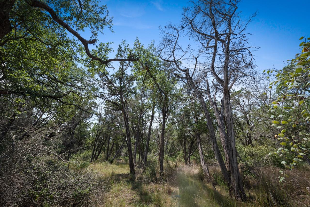 501 Limestone Ln, Driftwood, TX 78619