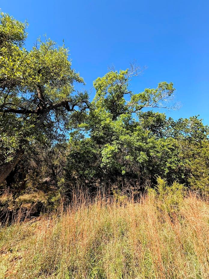 1930 S Rainbow Ranch Rd, Wimberley, TX 78676