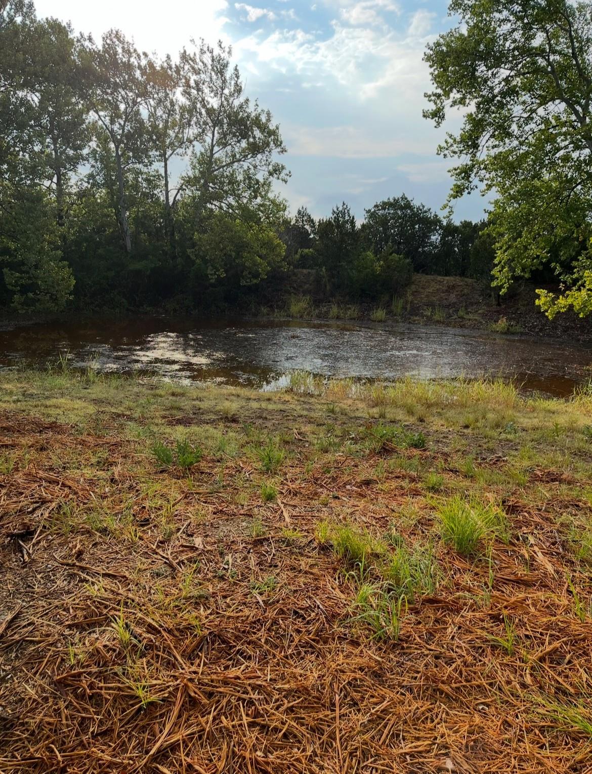 17787 Fm 963, Bertram, TX 78605