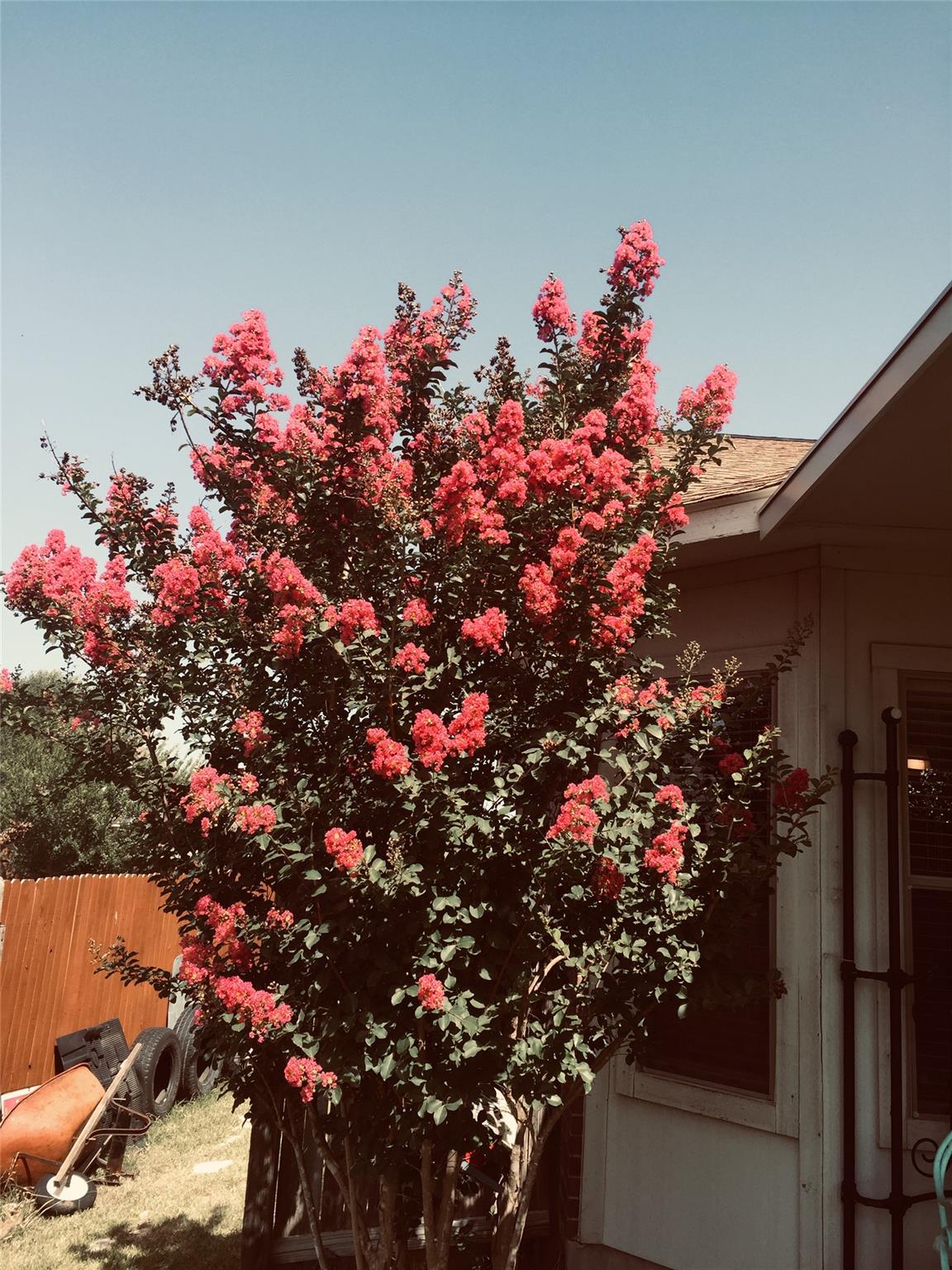 250 Engineers Pass, Jarrell, TX 76537