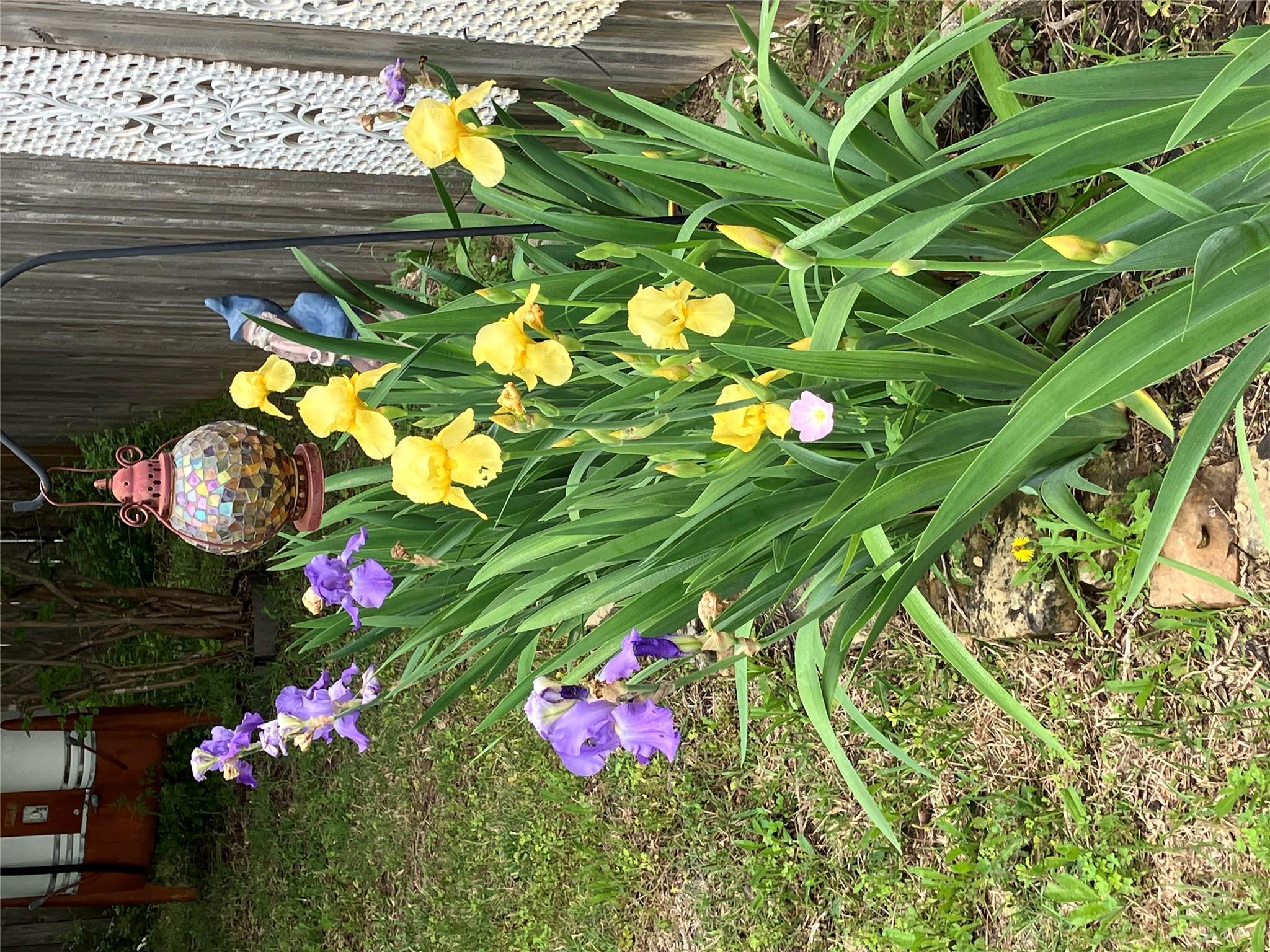 250 Engineers Pass, Jarrell, TX 76537