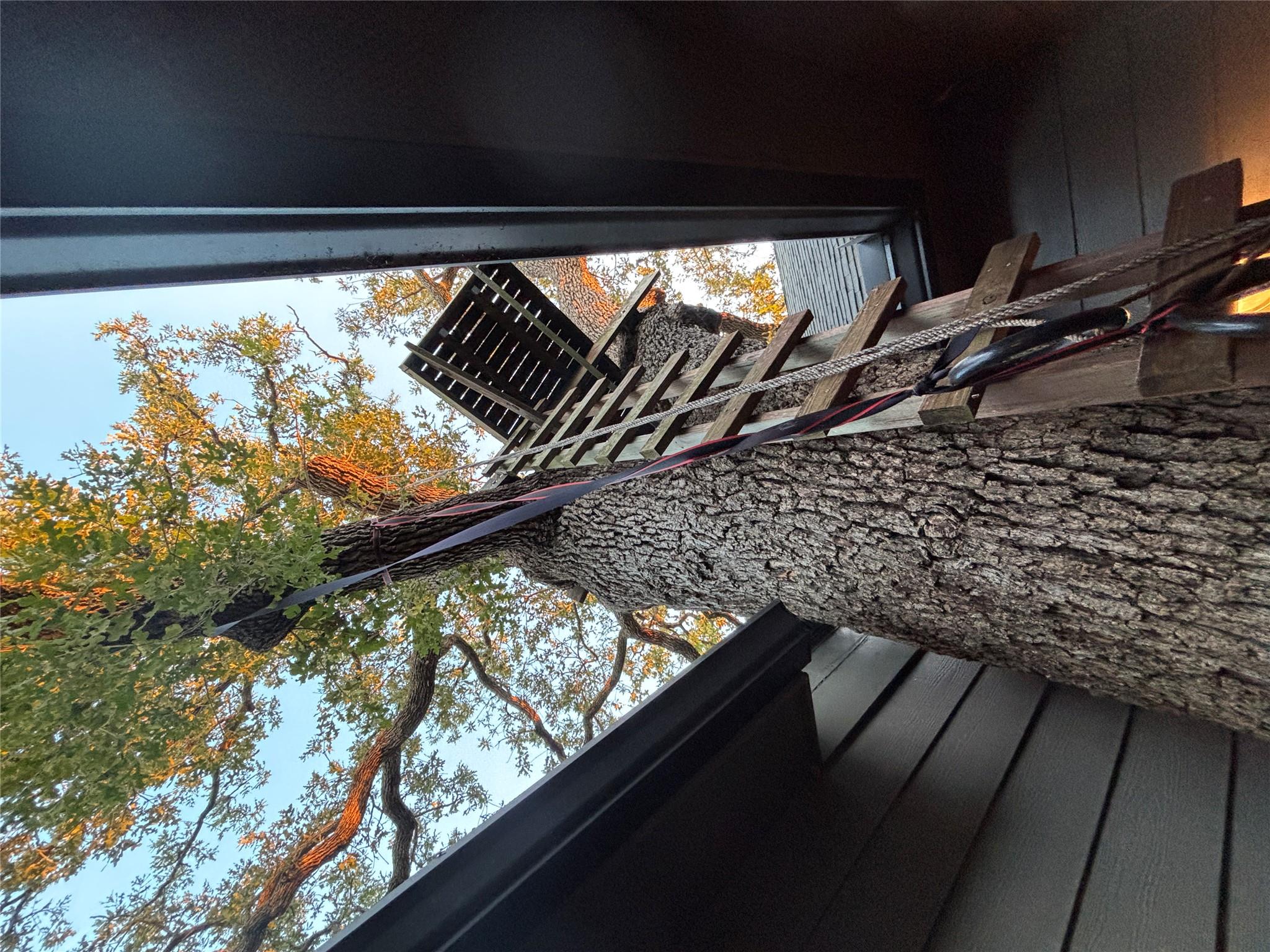 5808 Coventry Ln, Austin, TX 78723