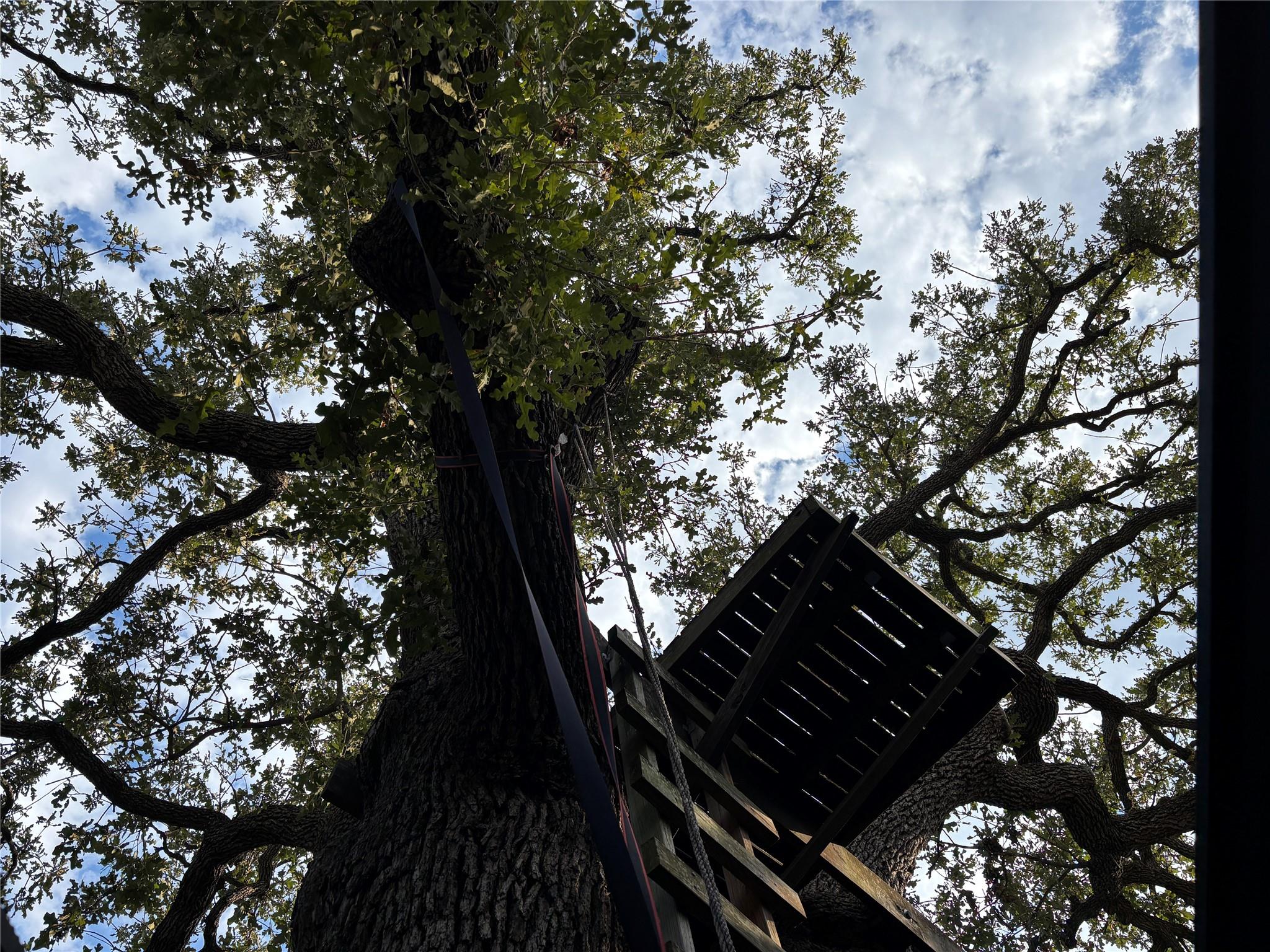 5808 Coventry Ln, Austin, TX 78723