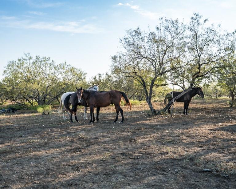 1096 County Road 447, Waelder, TX 78959