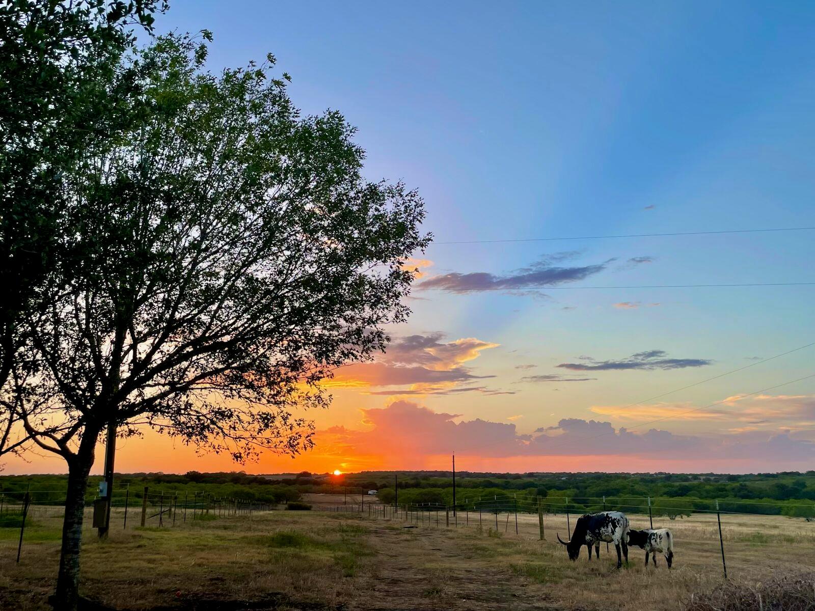 1096 County Road 447, Waelder, TX 78959