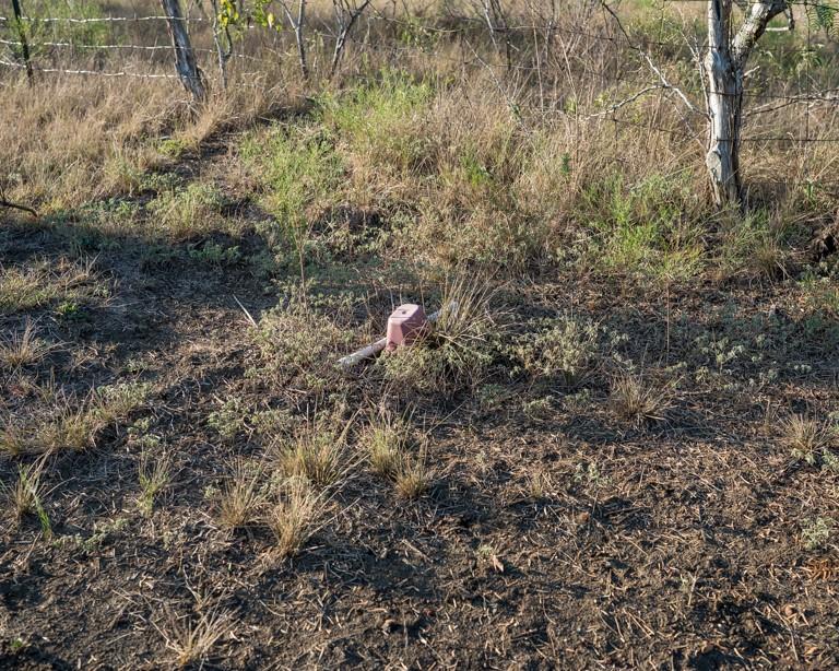 1096 County Road 447, Waelder, TX 78959