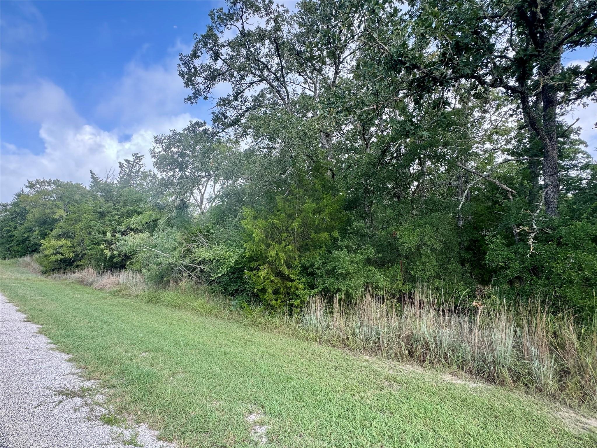 Lots 569-573 Pond St, Somerville, TX 77879